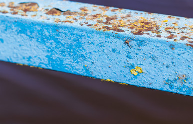 Similar image 21811692