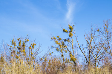 Similar image 21811695