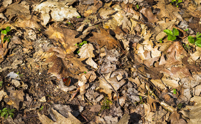 Similar image 21811706