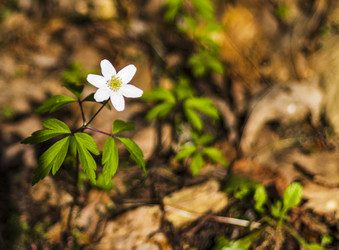 Similar image 21811881