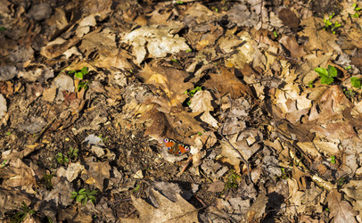 Similar image 21811885