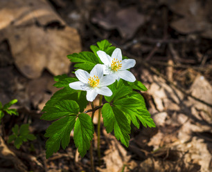 Similar image 21811887