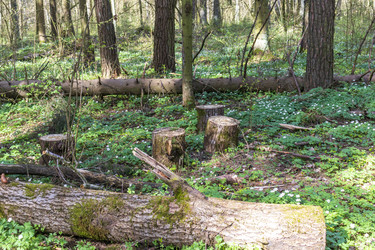 Similar image 21811905