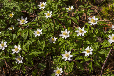 Similar image 21811921