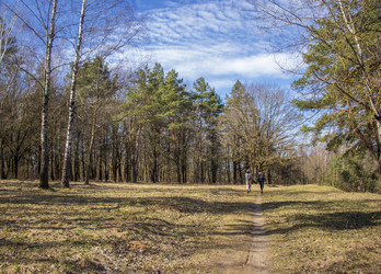 Similar image 21811922