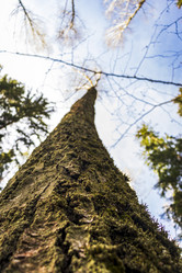 Similar image 21811925