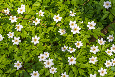 Similar image 21811927