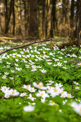 Similar image 21811929