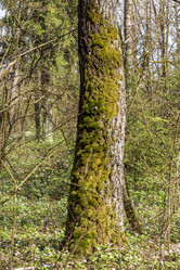 Similar image 21811931