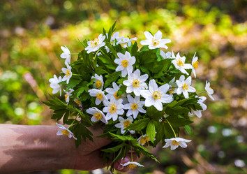 Similar image 21811937