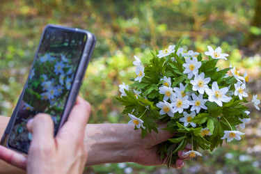 Similar image 21811708