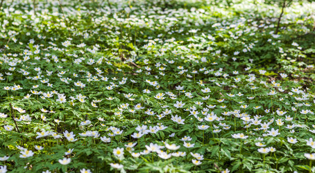 Similar image 21811711