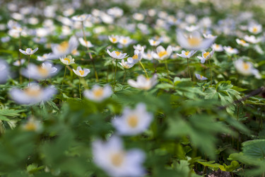 Similar image 21811714