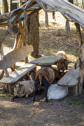 Similar image 21811715