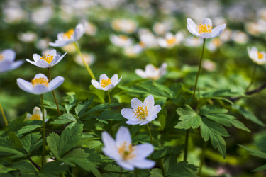 Similar image 21811716