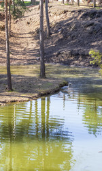 Similar image 21811725