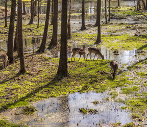 Similar image 21811727