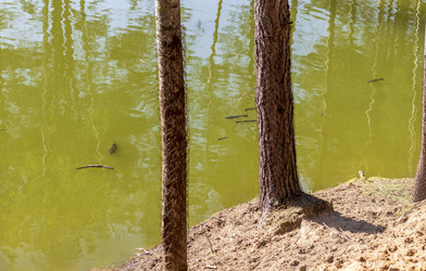 Similar image 21811730