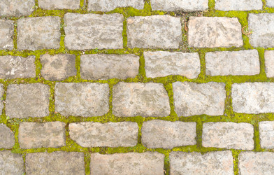 Similar image 21812296