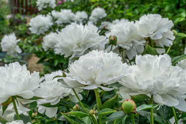 Similar image 21812299