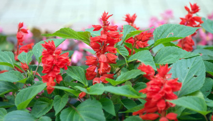 Similar image 21812626