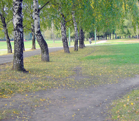 Similar image 21812629