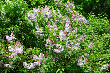 Similar image 21812630