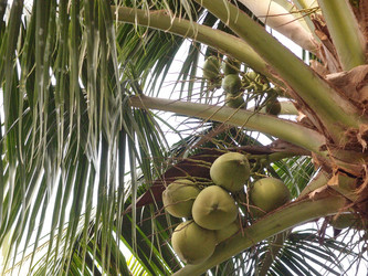 Similar image 21812438