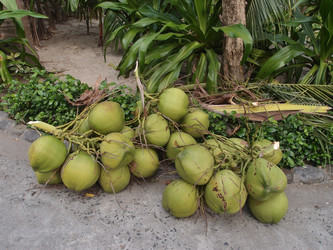 Similar image 21812439