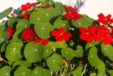 Similar image 21812343