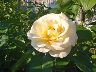 Similar image 21812344