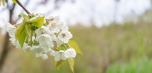 Similar image 21812346