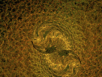 Similar image 21814053