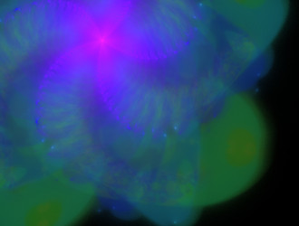 Similar image 21814059