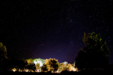 Similar image 21813547