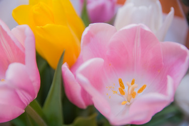 Similar image 21813552