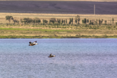 Similar image 21813560