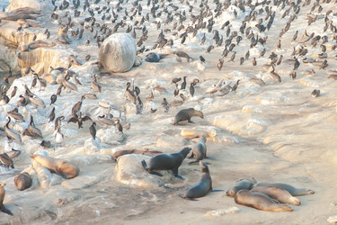 Similar image 21813562