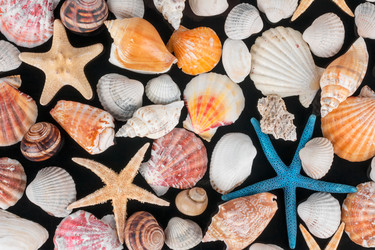 Similar image 21812634