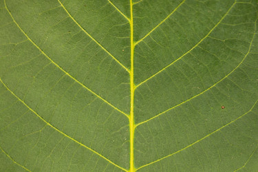 Similar image 21812637