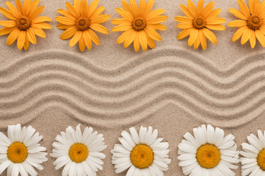 Similar image 21812639