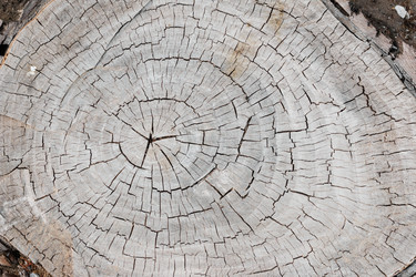 Similar image 21812646