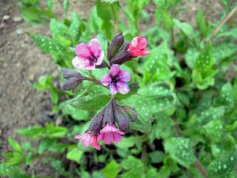 Similar image 21812864