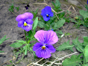 Similar image 21812865