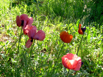 Similar image 21812866