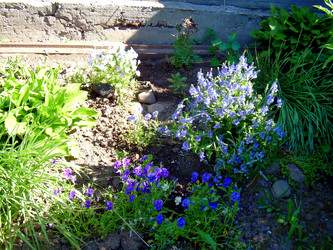 Similar image 21812867