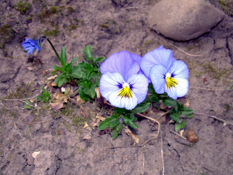 Similar image 21812868