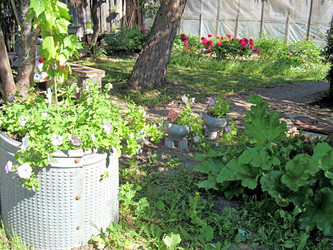 Similar image 21812869