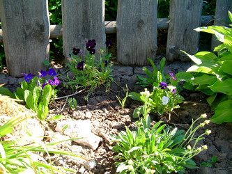 Similar image 21812871