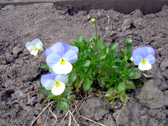 Similar image 21812872